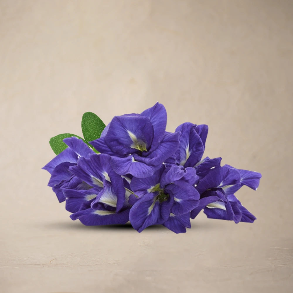 Blue Butterfly Pea Flower (Dried)| Full Pack – 30g