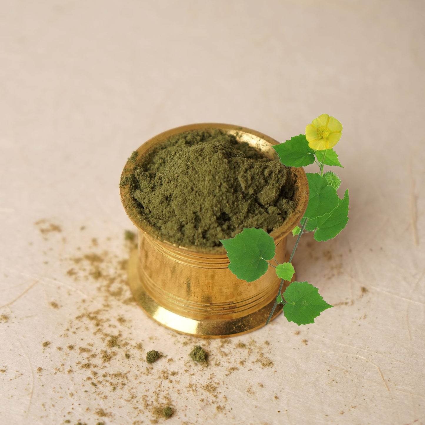 Indian Mallow Leaf Powder | Sample/Tester – 10g