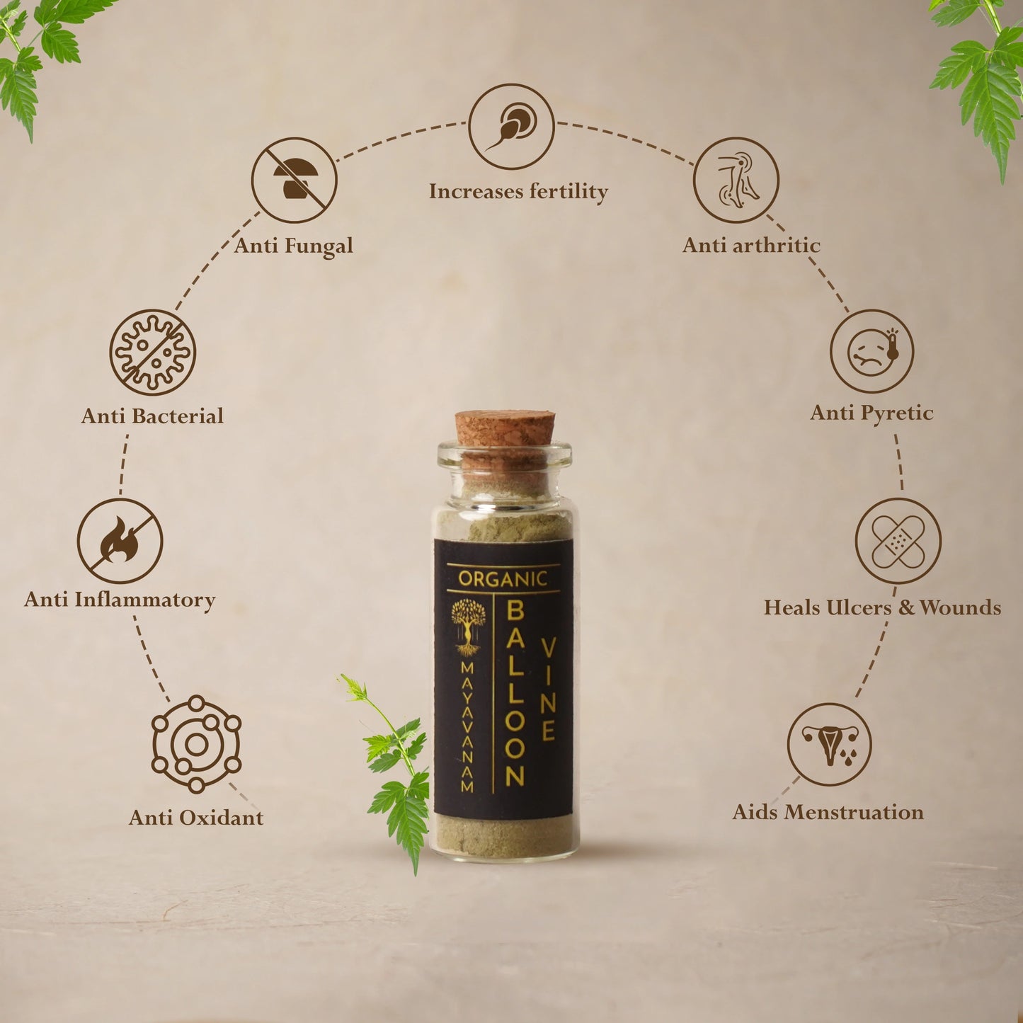 Balloon Vine Leaf Powder | Sample/Tester  – 10g