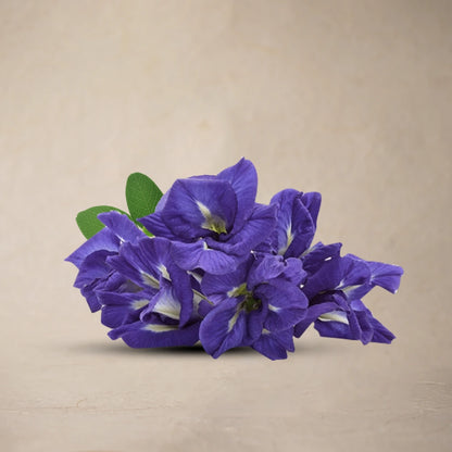 Blue Butterfly Pea Flower (Dried)| Full Pack – 30g