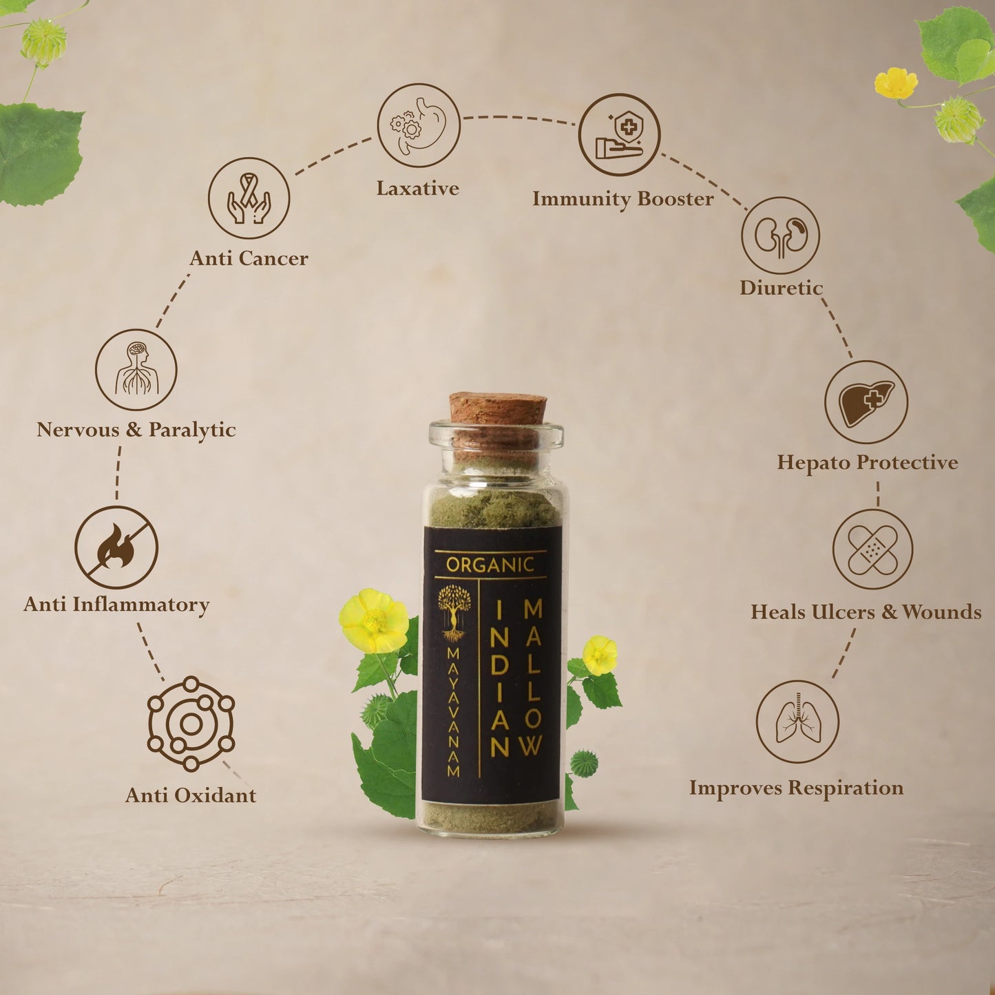 Indian Mallow Leaf Powder | Sample/Tester – 10g