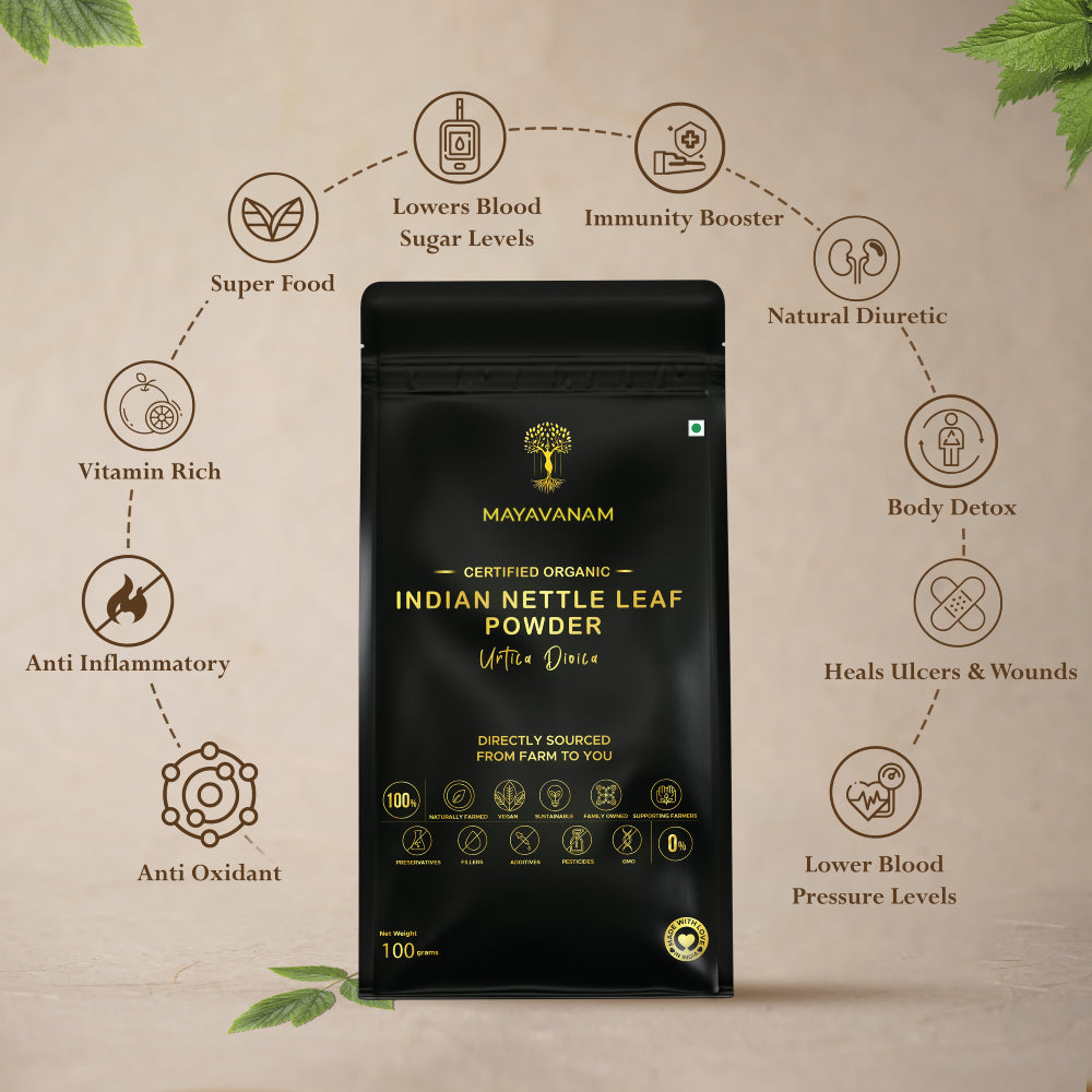 Indian Nettle Leaf Powder | Full Pack – 100g