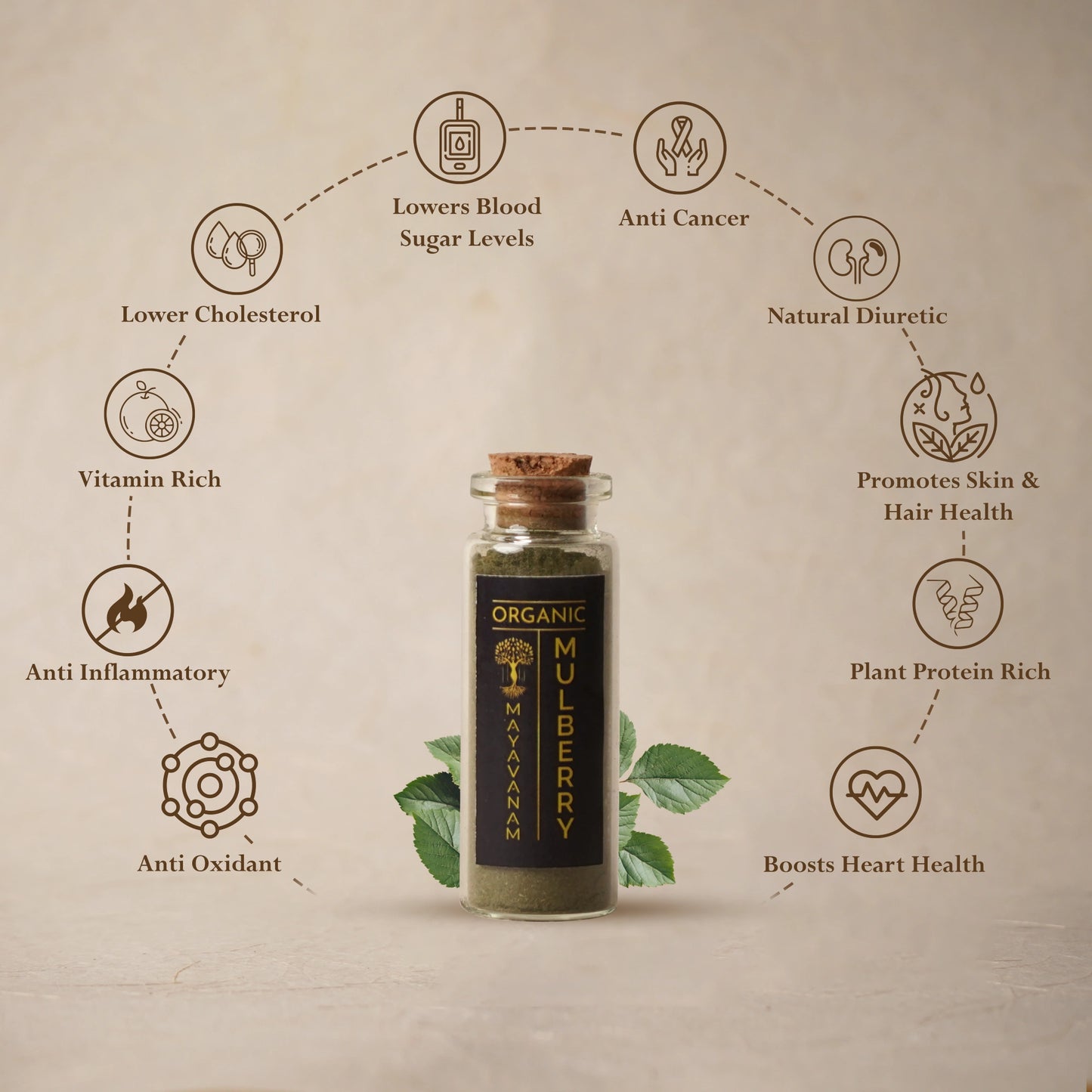 Mulberry Leaf Powder | Sample/Tester – 10g