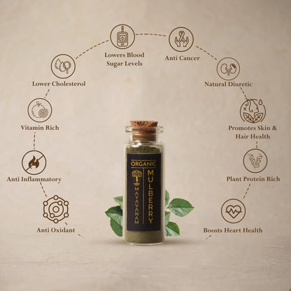 Mulberry Leaf Powder | Sample/Tester – 10g